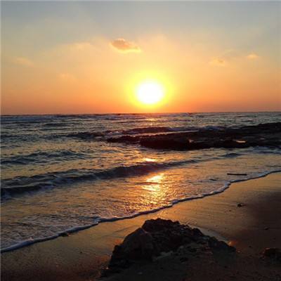 九游会演示说明